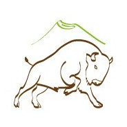 [SURGELE] Joues de Bison