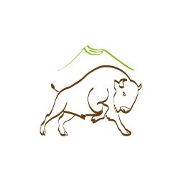 [SURGELE] Joues de Bison